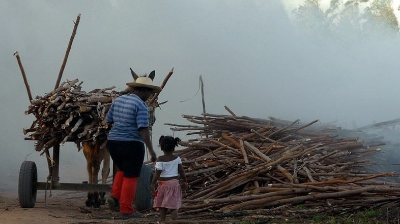 Após sofrer com o trabalho infantil, adolescente recebe indenização de 10 mil reais