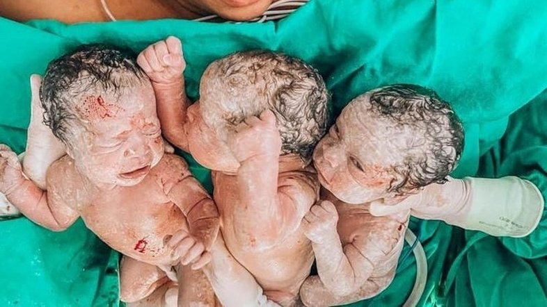 Divulgação/Hospital Marieta