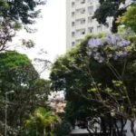 Homem pula com a filha de 6 anos do 17º andar de hotel em São Paulo