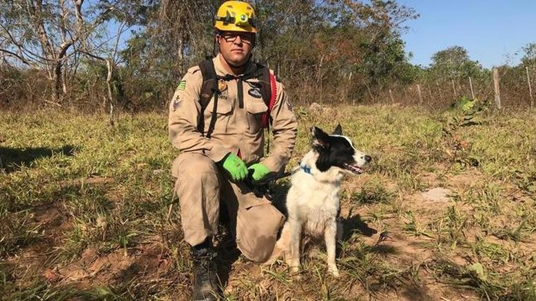 Famosa por Brumadinho, cadela Cristal tem ajudado nas buscas por Lázaro
