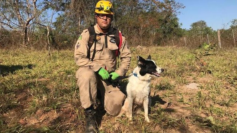 Famosa por Brumadinho, cadela Cristal tem ajudado nas buscas por Lázaro