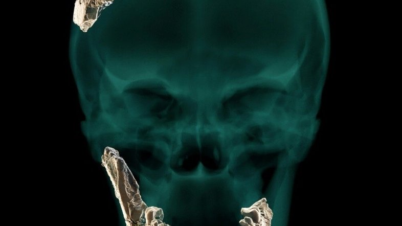 Nova espécie de homem pré-histórico descoberto em Israel