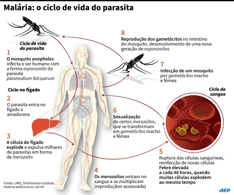 China erradica malária após 70 anos