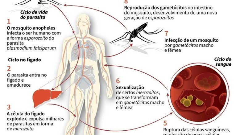 China erradica malária após 70 anos