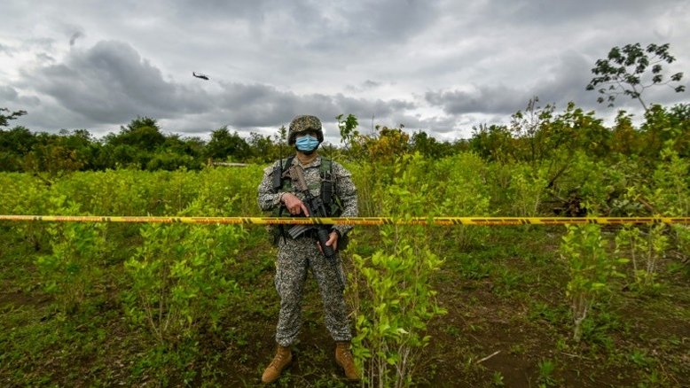EUA reportam aumento recorde de plantações de coca e produção de cocaína na Colômbia