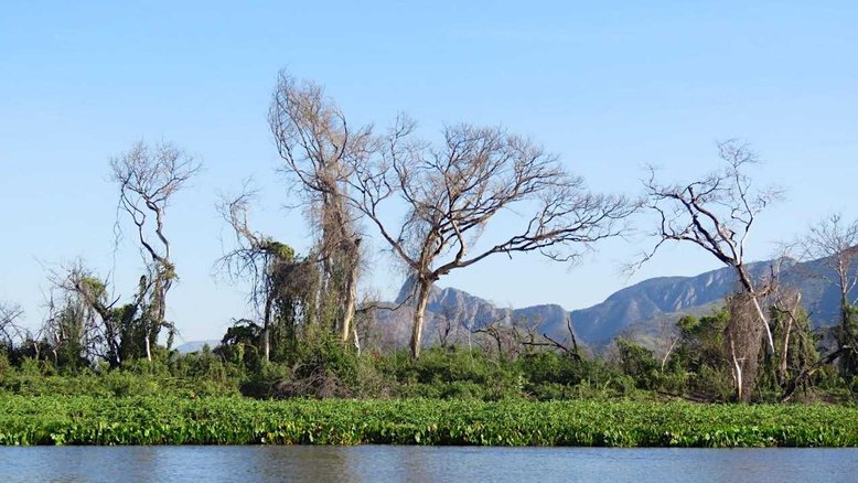 Expedição Pantanal registra estragos feitos pelos incêndios do ano passado
