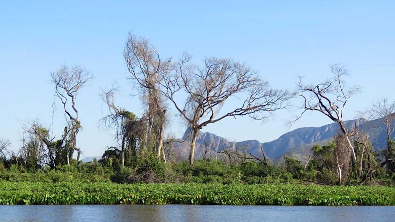 Expedição Pantanal registra estragos feitos pelos incêndios do ano passado