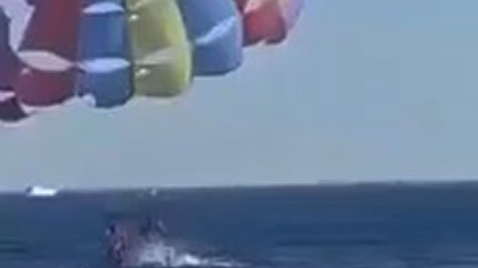 Vídeo: Tubarão pula da água e morde perna de homem em paraquedas