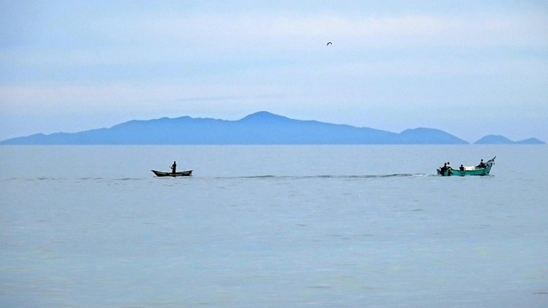 Russo morre após ser atacado por tubarão no Mar Vermelho, no Egito; veja vídeo