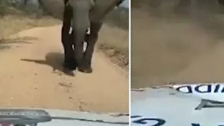 Reprodução/ Twitter