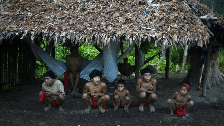 O mercúrio que mata as crianças yanomamis