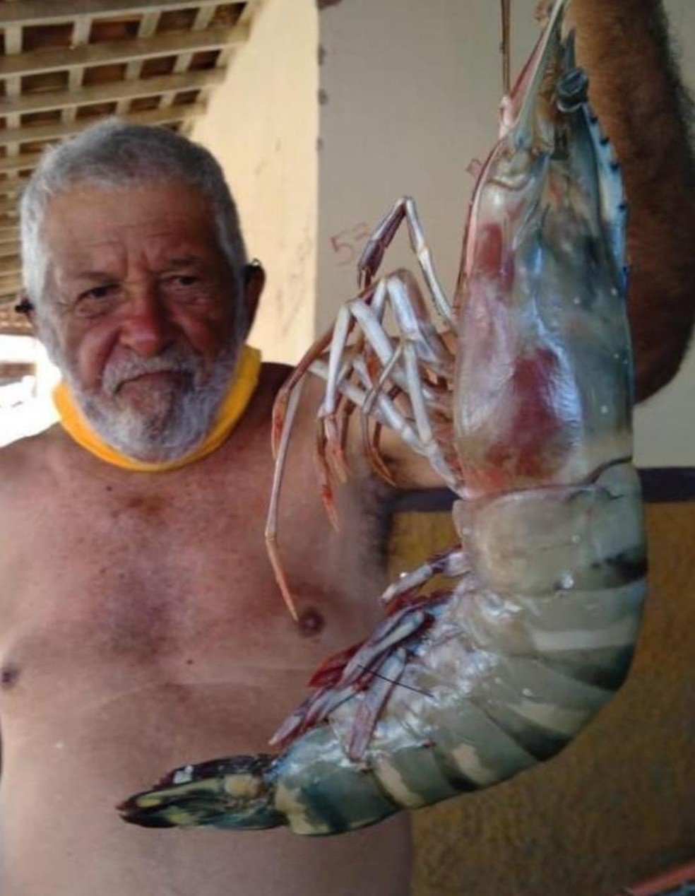 'Camarão gigante' com mais de 400g e cerca de 50 cm é fisgado por pescador 4 'Camarão gigante' com mais de 400g e cerca de 50 cm é fisgado por pescador