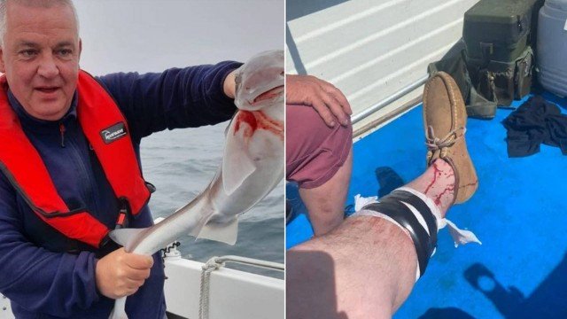 Tubarão ataca e morde panturrilha de pescador já estando no barco