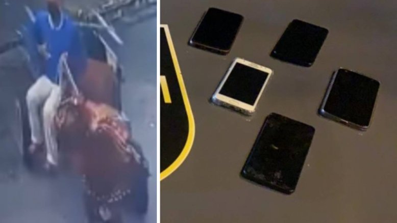 AL: Polícia prende assaltante de celulares que usava carroça para fugir