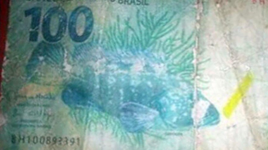Menino que perdeu trufas após ser pago com nota falsa de R$ 100 recebe doações 4 Menino que perdeu trufas após ser pago com nota falsa de R$ 100 recebe doações