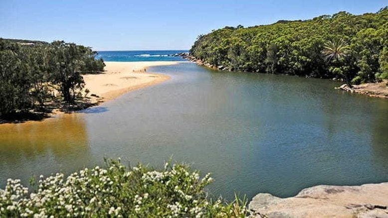 Banhistas são resgatados pelados após fugirem de cervo em praia da Austrália