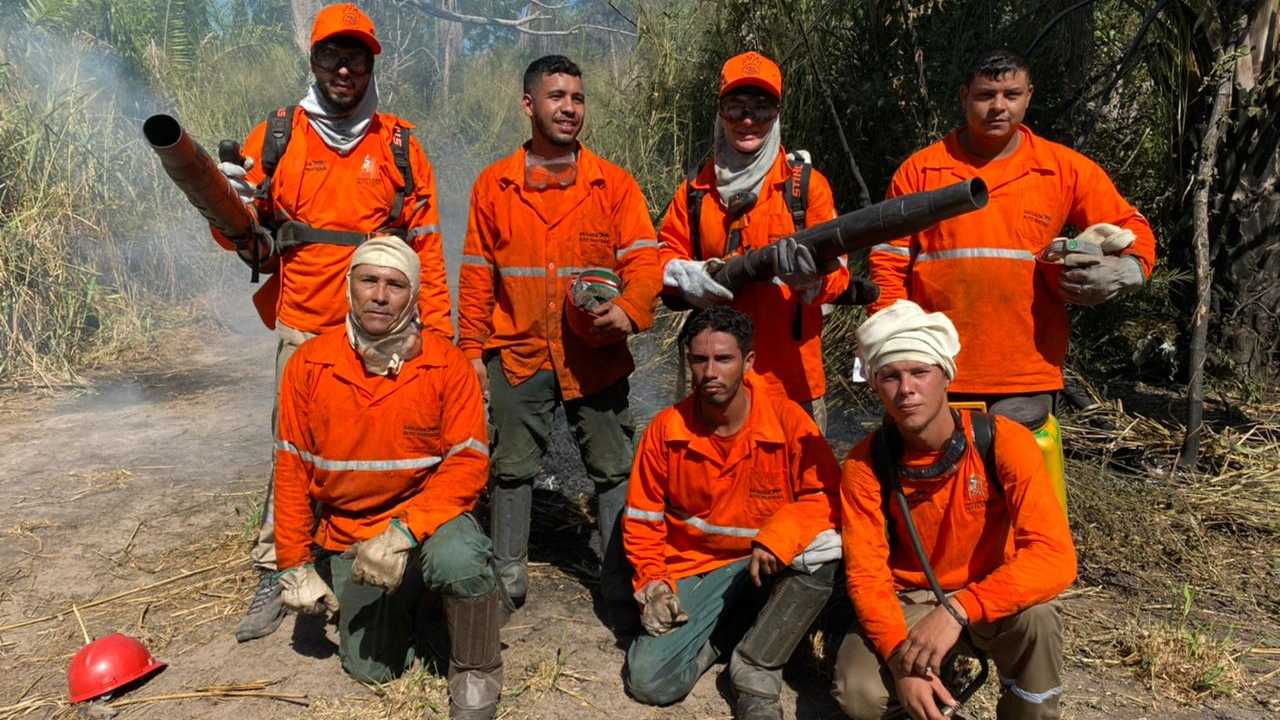 Pantanal: Jornalista, biólogo e documentarista participam de treino para combater incêndios