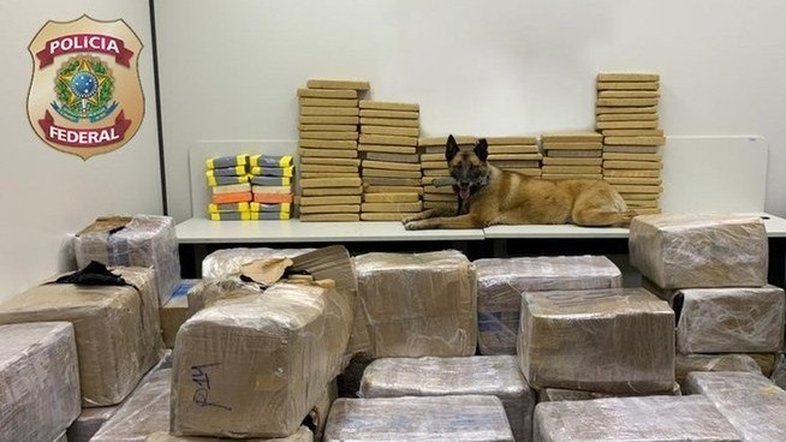 Polícia Federal apreende mais de uma tonelada de drogas na Presidente Dutra