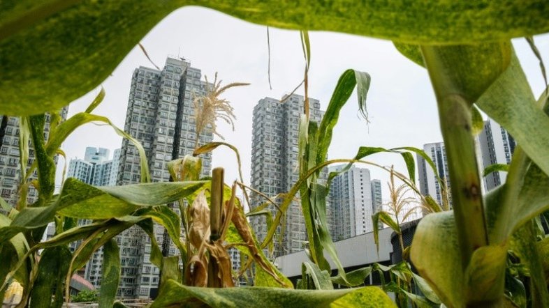 Imagens de uma volta ao mundo por cidades cada vez mais verdes