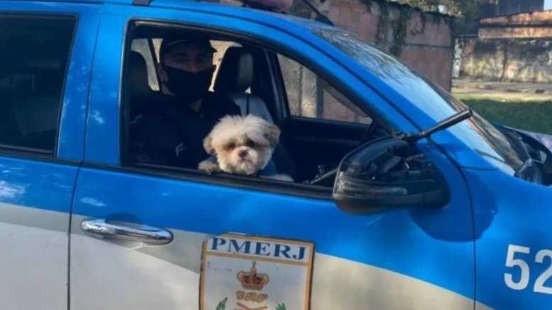 Divulgação Policia Militar do Rio de Janeiro