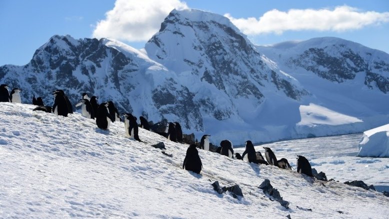 Antártica teve temperatura recorde de 18,3ºC em 6 de fevereiro de 2020