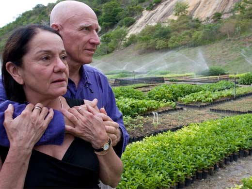 Confira os famosos que ajudam o meio ambiente 12 Confira os famosos que ajudam o meio ambiente