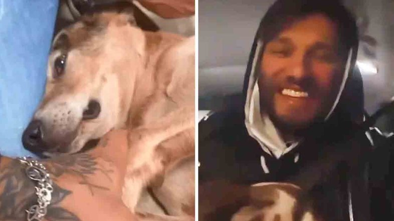 Lucas Lucco adota cachorro e faz apelo para a esposa: ‘Não me mata’
