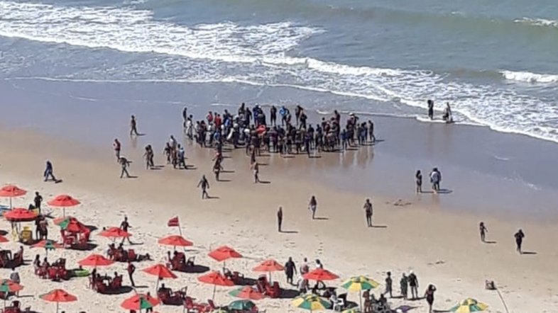 PE: Homem é socorrido após ataque de tubarão em praia do Recife