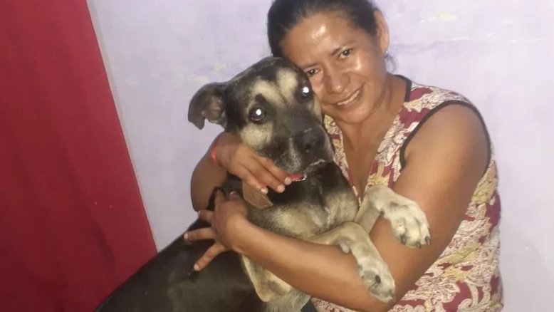 Cão que ficou um mês na porta da antiga casa viaja 4 mil km para rever a dona