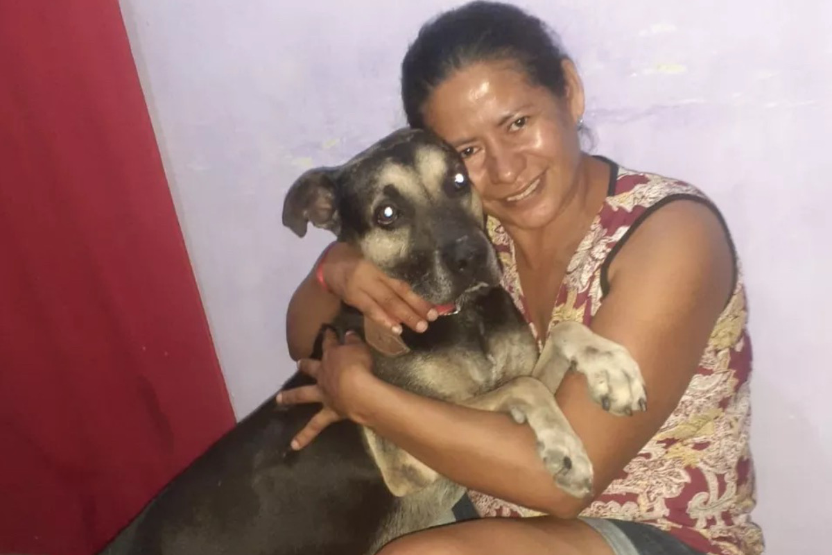 Cão que ficou um mês na porta da antiga casa viaja 4 mil km para rever a dona