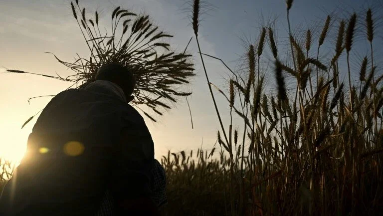 IPCC, a autoridade científica internacional de referência sobre o clima