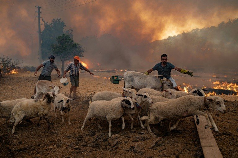 'foi como uma bomba', conta fazendeiro turco sobre incêndios na região