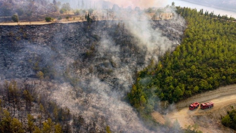 Incêndios florestais devastam Turquia e Grécia