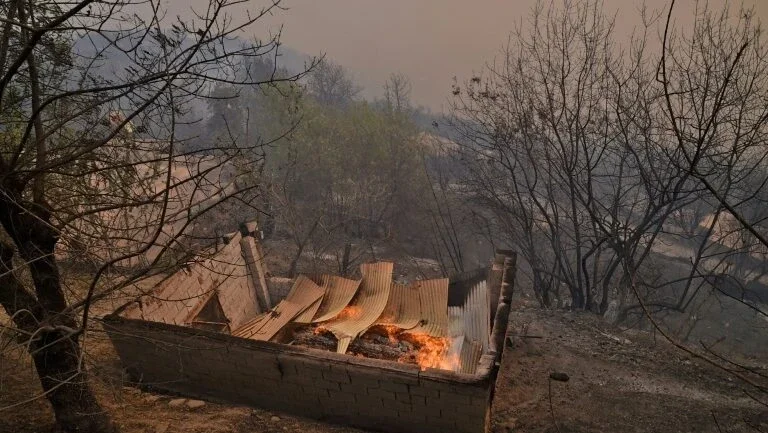 Ao menos 65 mortos em vários incêndios no norte da Argélia