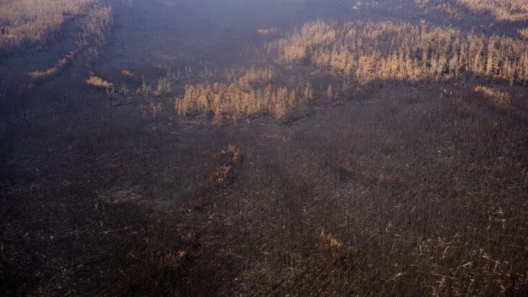 Putin ordena redobrar esforços para controlar incêndios na Sibéria