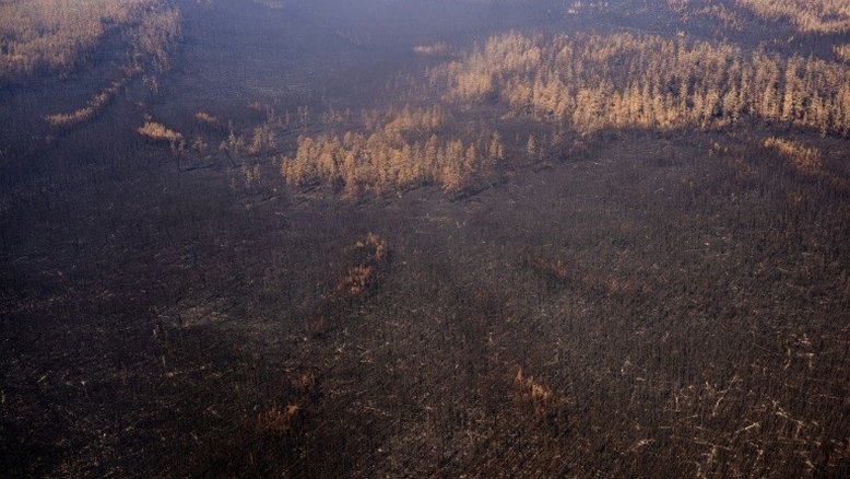 Putin ordena redobrar esforços para controlar incêndios na Sibéria
