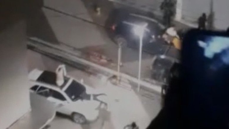 Reprodução
