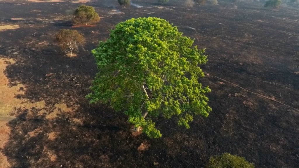 Projeto visa diminuir 70% da área da Chapada dos Veadeiros para agricultura 4 Projeto visa diminuir 70% da área da Chapada dos Veadeiros para agricultura