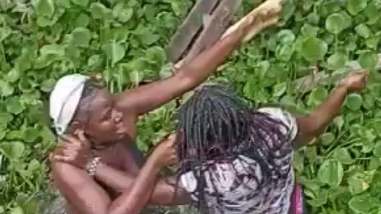 Vídeo: briga entre mulheres tem facadas e morte em rio na Colômbia
