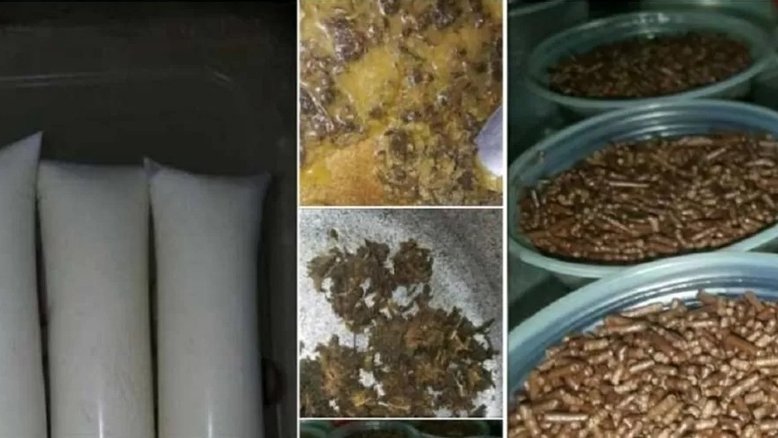 Homem é preso no Pará por vender chope e brigadeiro de maconha na internet