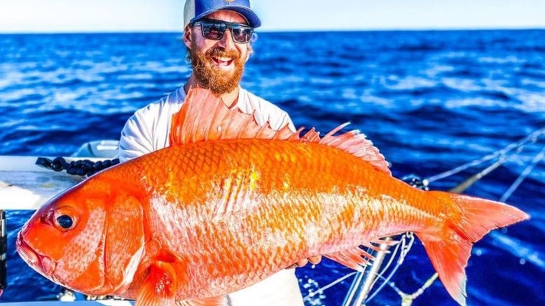 Vídeo: pescador australiano fisga peixe raro de 10 quilos