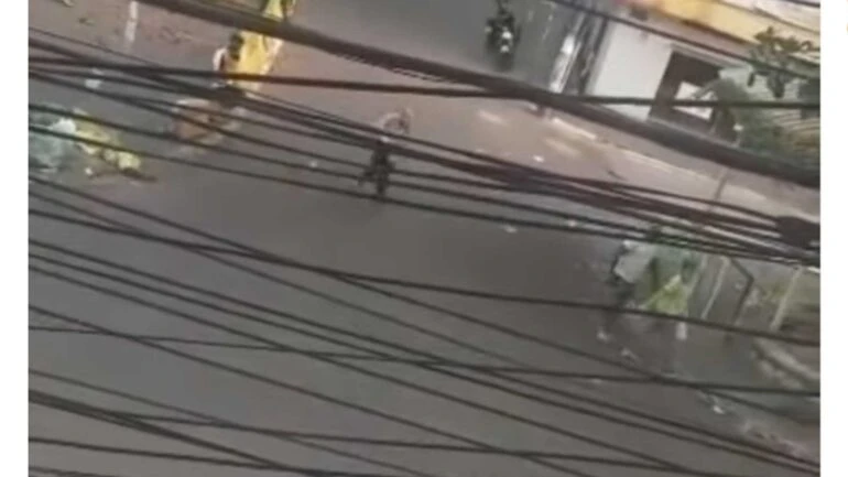 Reprodução
