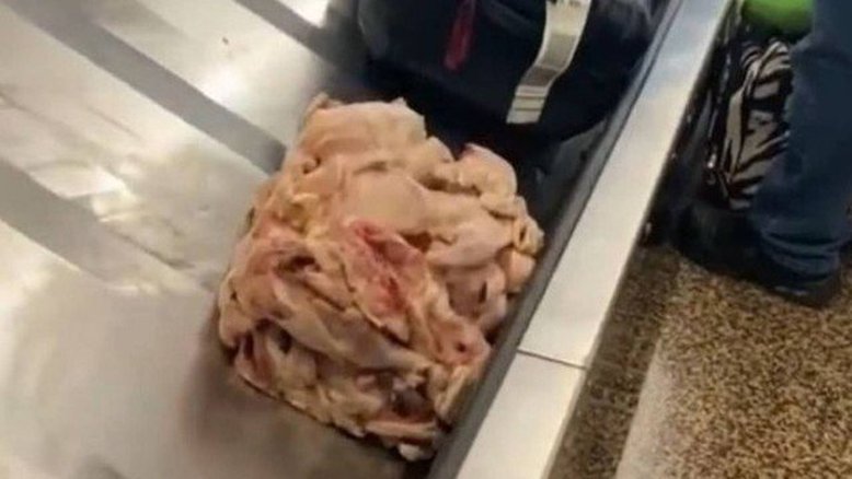 'Mala' de frango cru é encontrada em aeroporto nos Estados Unidos