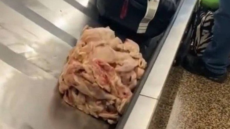 'Mala' de frango cru é encontrada em aeroporto nos Estados Unidos