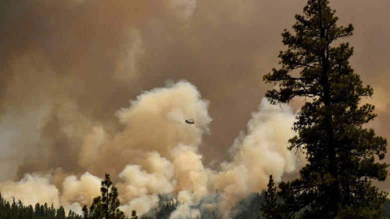 Incêndios florestais no hemisfério norte provocaram recorde de emissões de CO2