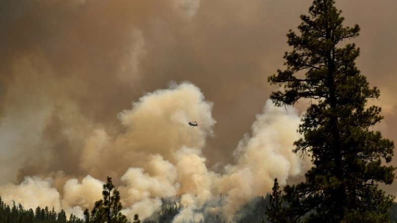 Incêndios florestais no hemisfério norte provocaram recorde de emissões de CO2
