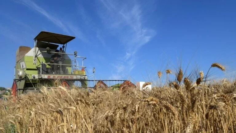 ONU pede transformação dos sistemas alimentares mundiais