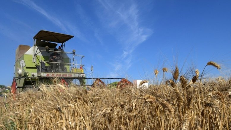 ONU pede transformação dos sistemas alimentares mundiais