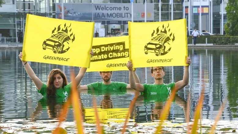 Greenpeace não está para comemorações após 50 anos de ativismo
