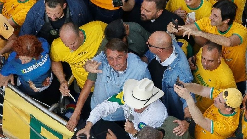 Efeito manada: dividindo a sociedade em rebanhos, políticos mantêm o controle do pastoreio
